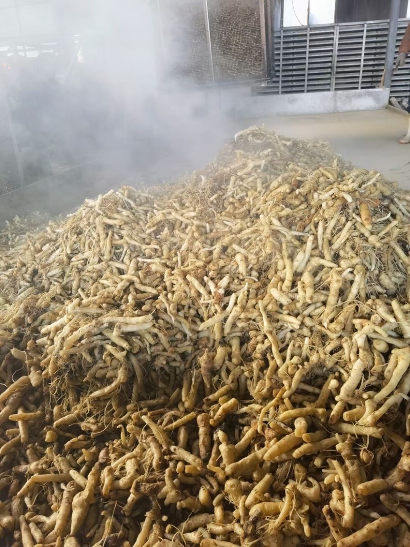 精品东北鸡头黄精，干货1.5厘米。一蒸一晒，自动化生产线