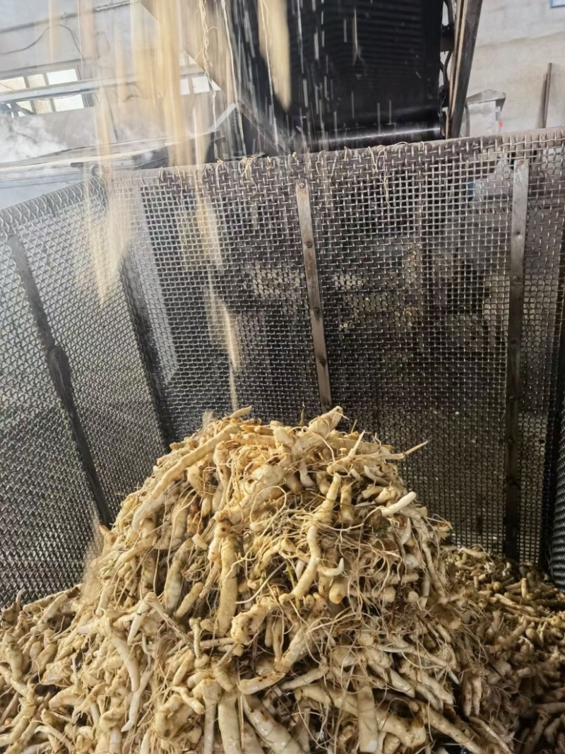 精品东北鸡头黄精，干货1.5厘米。一蒸一晒，自动化生产线