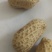 农村花生