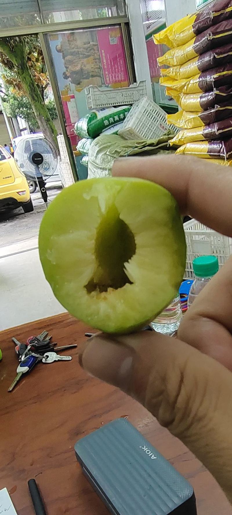 青脆李脱骨李(巨进一号)脆甜可口江西南丰产地