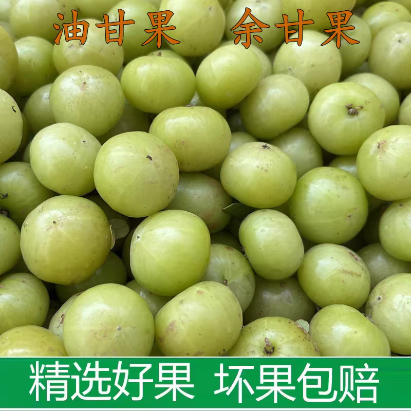《余甘果》牛柑果/油柑果/广西余甘果/产地货源/全国供应