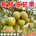《余甘果》牛柑果/油柑果/广西余甘果/产地货源/全国供应