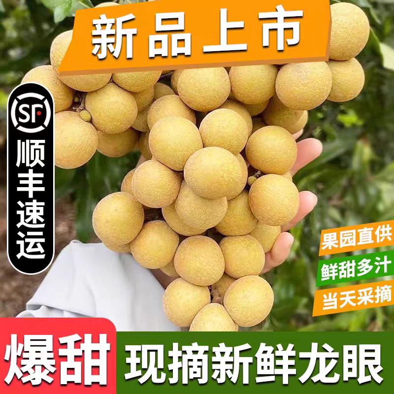 《石峡龙眼》储良龙眼/广西龙眼/产地货源/保质保量批发