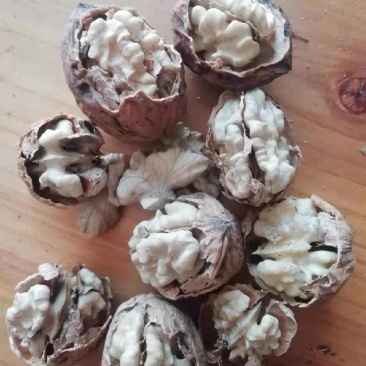 云南纸皮核桃
