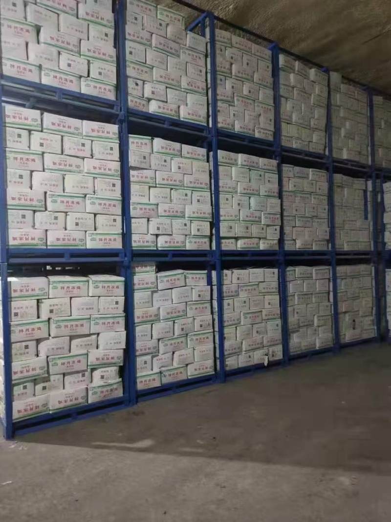 冷库货架堆垛架巧固架大蒜货架。加工各种规格尺寸的货架