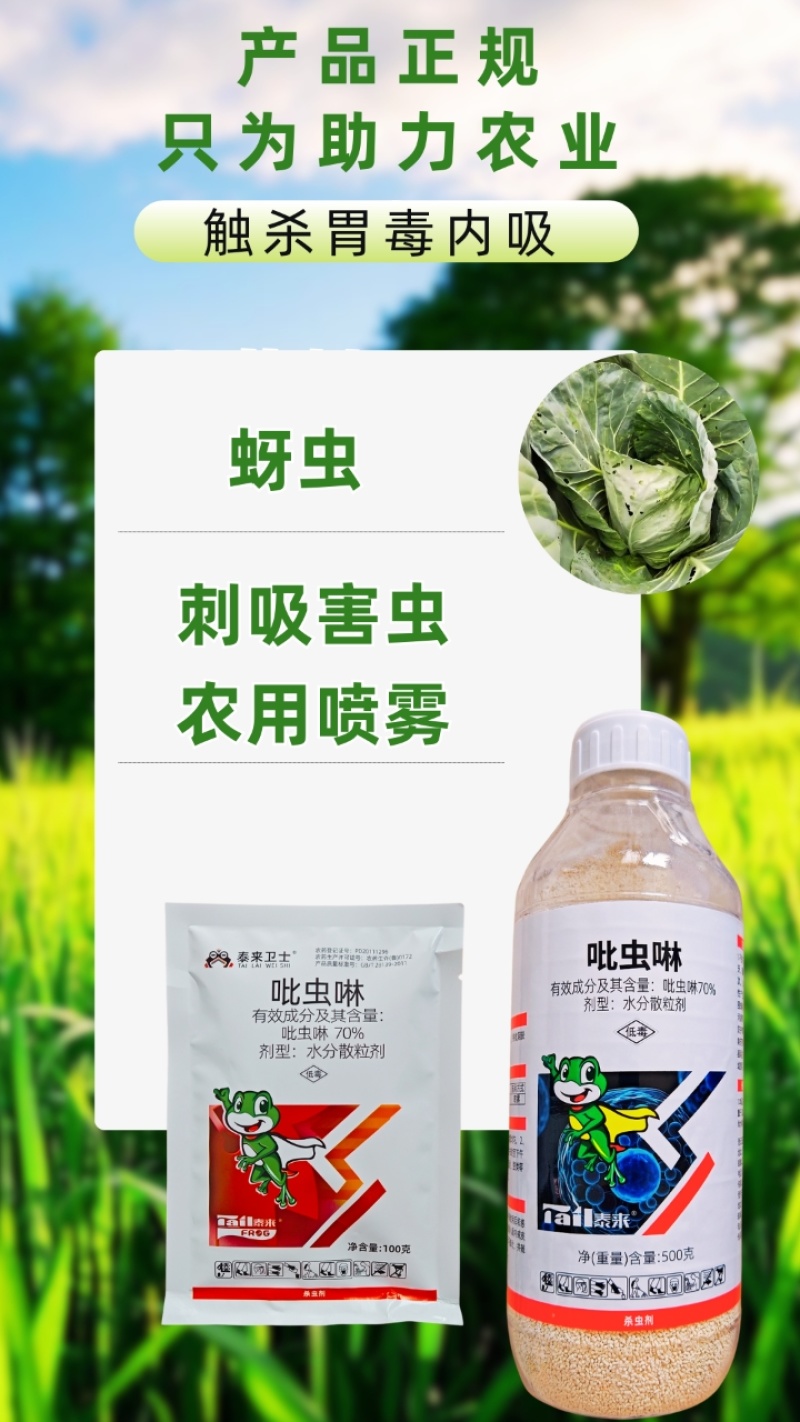 70%吡虫啉杀虫剂高含量刺吸害虫蚜虫内吸100克500克