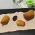 鸡宝