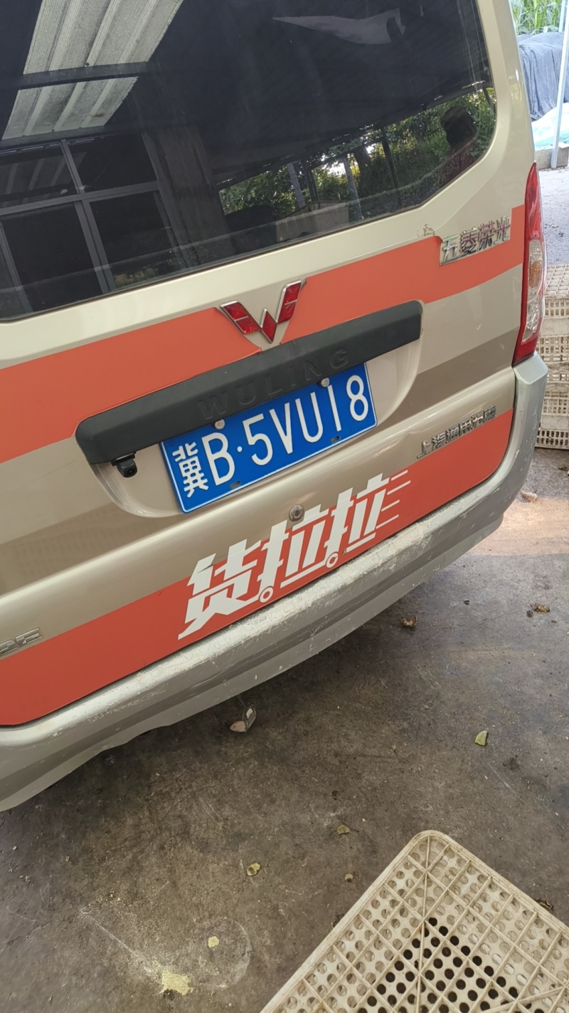 手工包纸皮鲜核桃味道鲜美脆甜可口每天现包现发