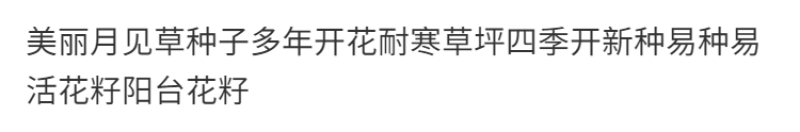美丽月见草厂家批发多年生花卉