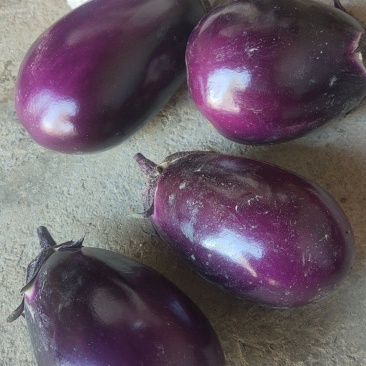 各种蔬菜