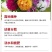 太阳花厂家批发单瓣重瓣都有货