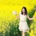 彩色油菜籽厂家批发价格美丽