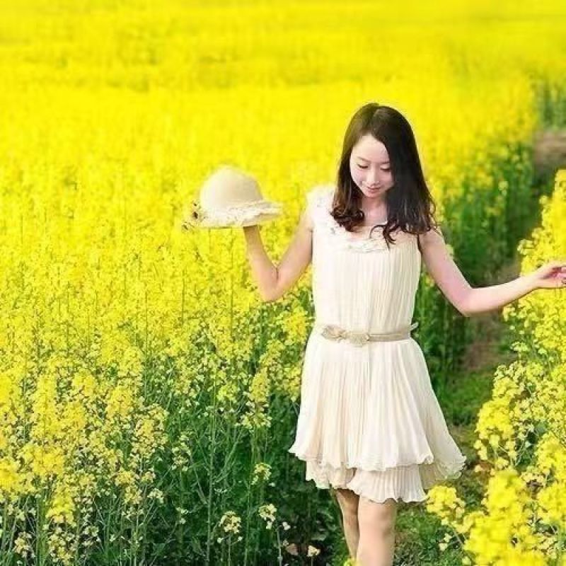 彩色油菜籽厂家批发价格美丽