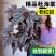 粉旗鱼秋海棠盆栽鳟鱼福寿竹节室内阳台好养易活四季开花卉绿植物