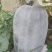 白汉冬瓜