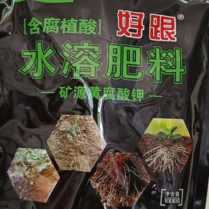 腐植酸水溶肥好跟生根养根护根改梁土壤使用后12小时根系