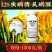 宁蛙12%虫螨腈虱螨脲杀虫剂青虫肉虫小菜蛾钻心虫虫卵双打