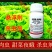 宁蛙12%虫螨腈虱螨脲杀虫剂青虫肉虫小菜蛾钻心虫虫卵双打