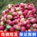 东北海棠果新鲜现摘k9海棠果当季酸甜可口