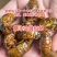 山东大金蝉几毛钱一只，接全平台电商一件代发，量大价优