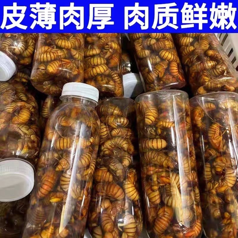 山东大金蝉几毛钱一只，接全平台电商一件代发，量大价优