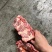 牛脊骨，诚信商家，一手货，价格，品质，质量，可视频看货。