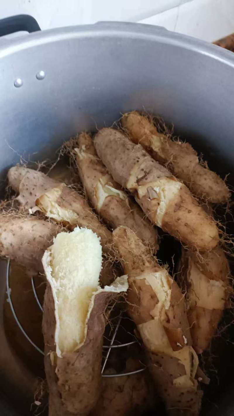 湛江精品毛薯！粉糯可口，大片基地一手货，全国发货。