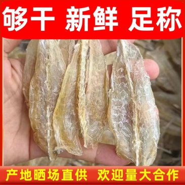 北海鱼柳烧烤下酒菜鸡腿鱼柳沙丁鱼柳干沙甲甜味鱼干货剥皮鱼