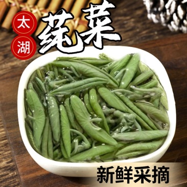 苏州太湖新鲜莼菜350克嫩芽野菜西湖莼菜纯菜