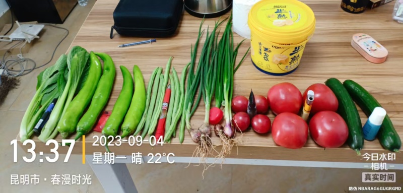 保鲜剂番茄保鲜剂、豆角保鲜剂、草莓保鲜剂、茄子保鲜剂