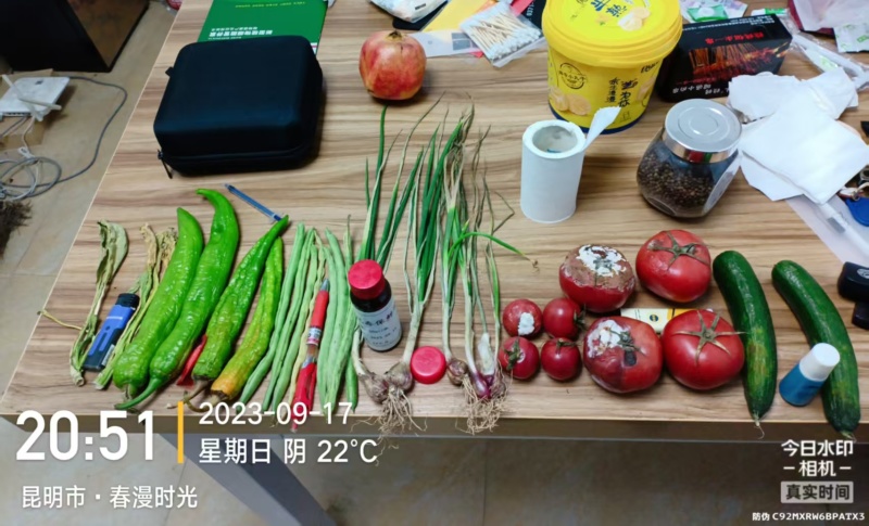 保鲜剂番茄保鲜剂、豆角保鲜剂、草莓保鲜剂、茄子保鲜剂