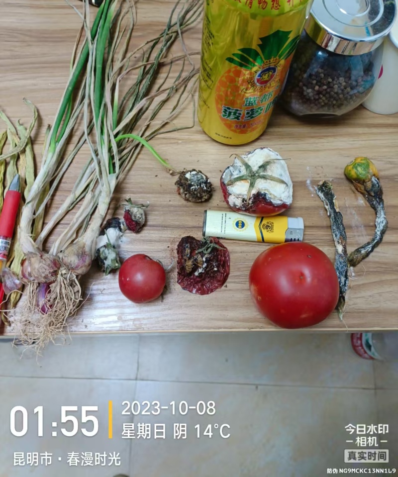 保鲜剂番茄保鲜剂、豆角保鲜剂、草莓保鲜剂、茄子保鲜剂