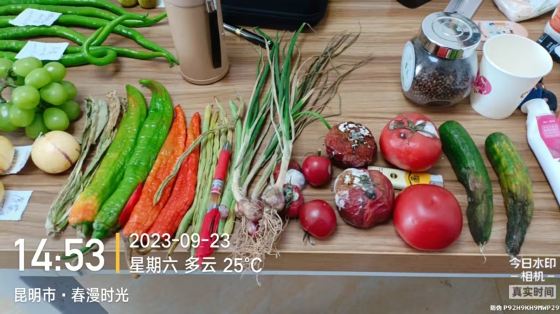 保鲜剂番茄保鲜剂、豆角保鲜剂、草莓保鲜剂、茄子保鲜剂