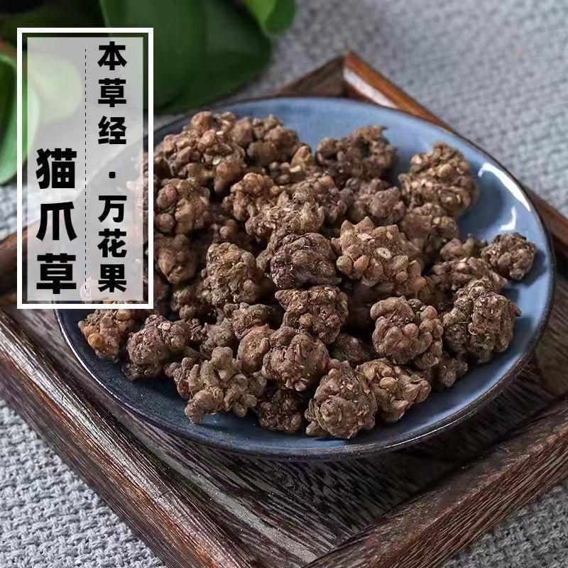 野生新鲜水洗三遍猫爪草