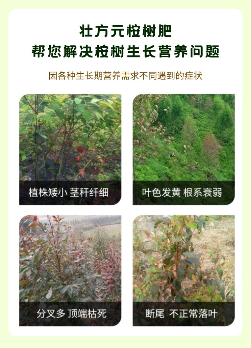 桉树肥17-7-16速生桉复合肥40%广西厂家批发