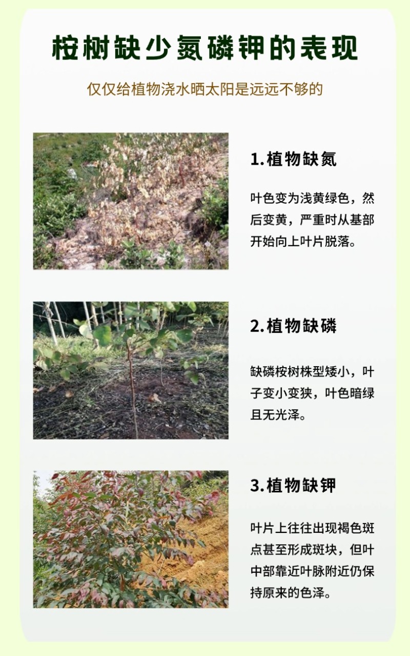 桉树肥17-7-16速生桉复合肥40%广西厂家批发