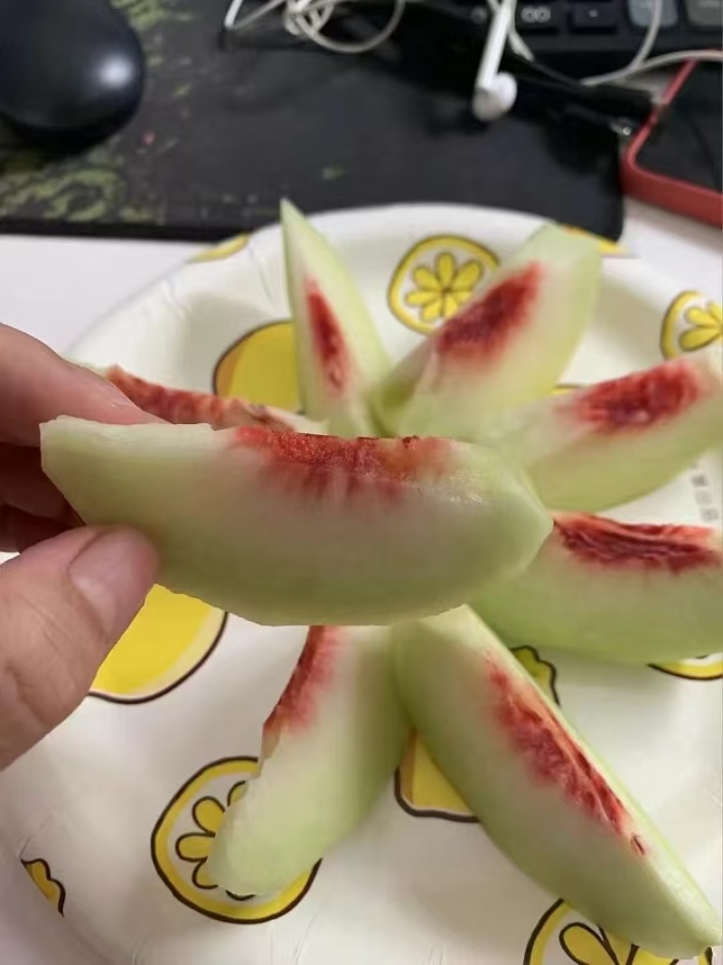 江苏大青桃