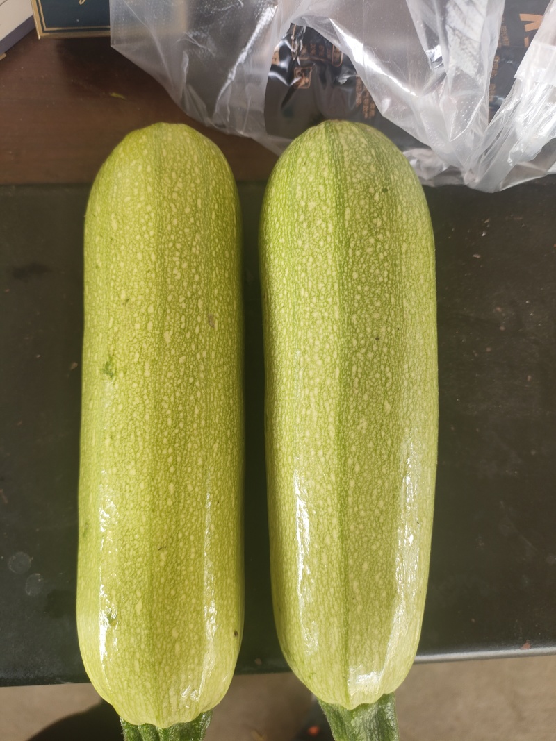 精品西葫芦