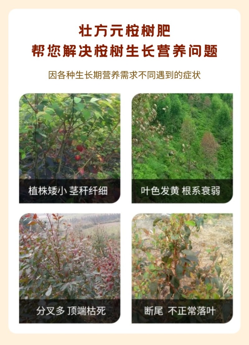 广西桉树肥35含量厂家硼锌实标速生桉追肥批发
