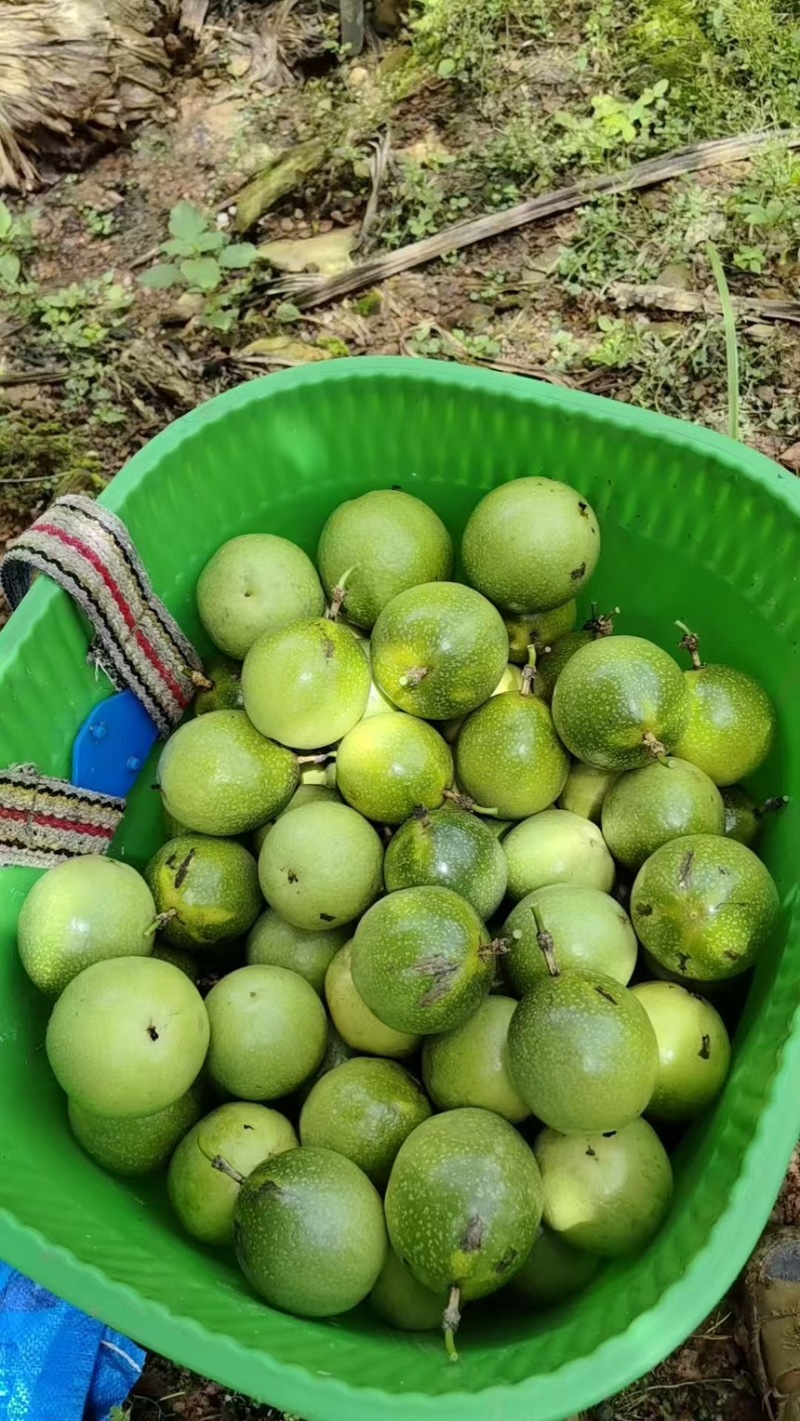 云南精品钦蜜9号百香果产地直发质量保证全国发货