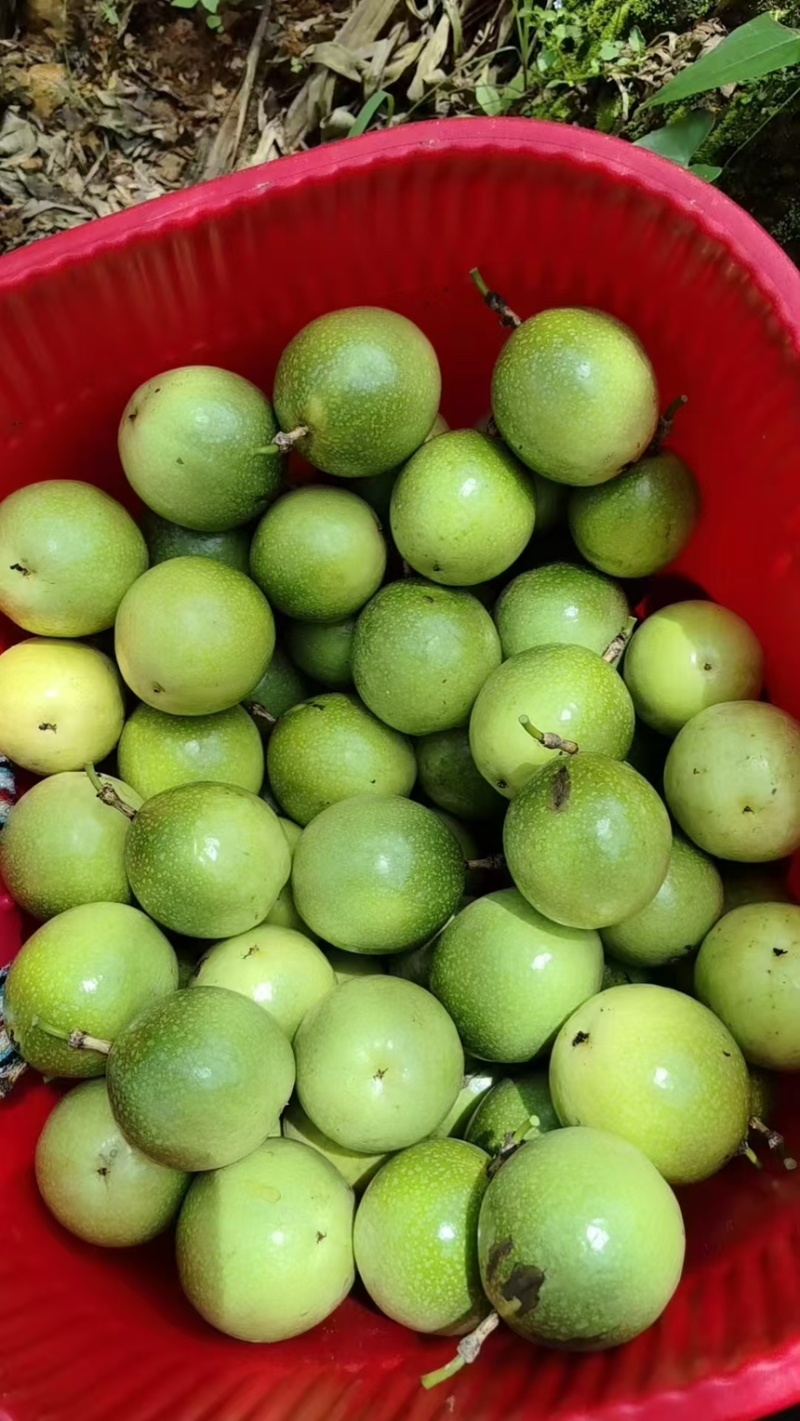 云南精品钦蜜9号百香果产地直发质量保证全国发货