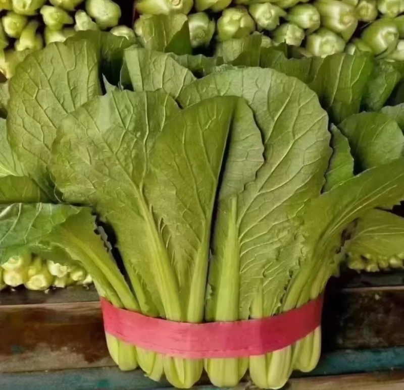 精品小白菜，大量供应，产地货源，全国供货价格美丽