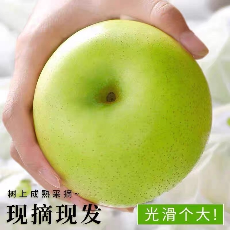 河南皇冠梨，85起步不封顶的，果面干净，口感细腻，火爆