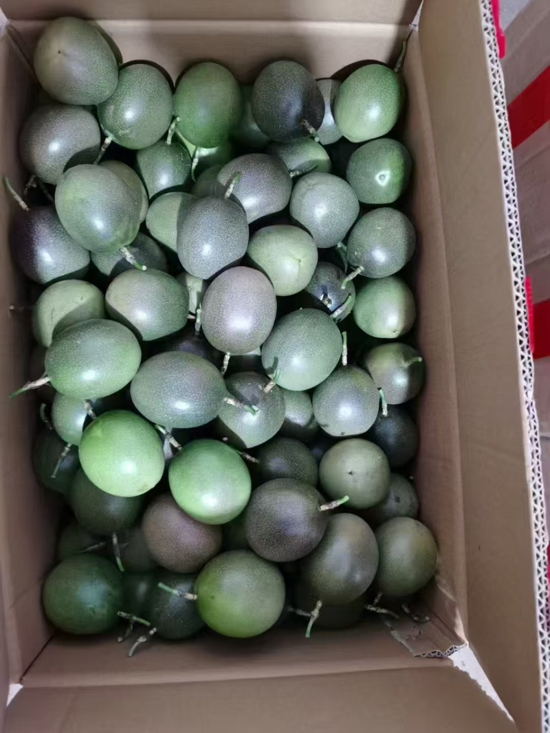 云南精品钦蜜9号百香果产地直发质量保证全国发货