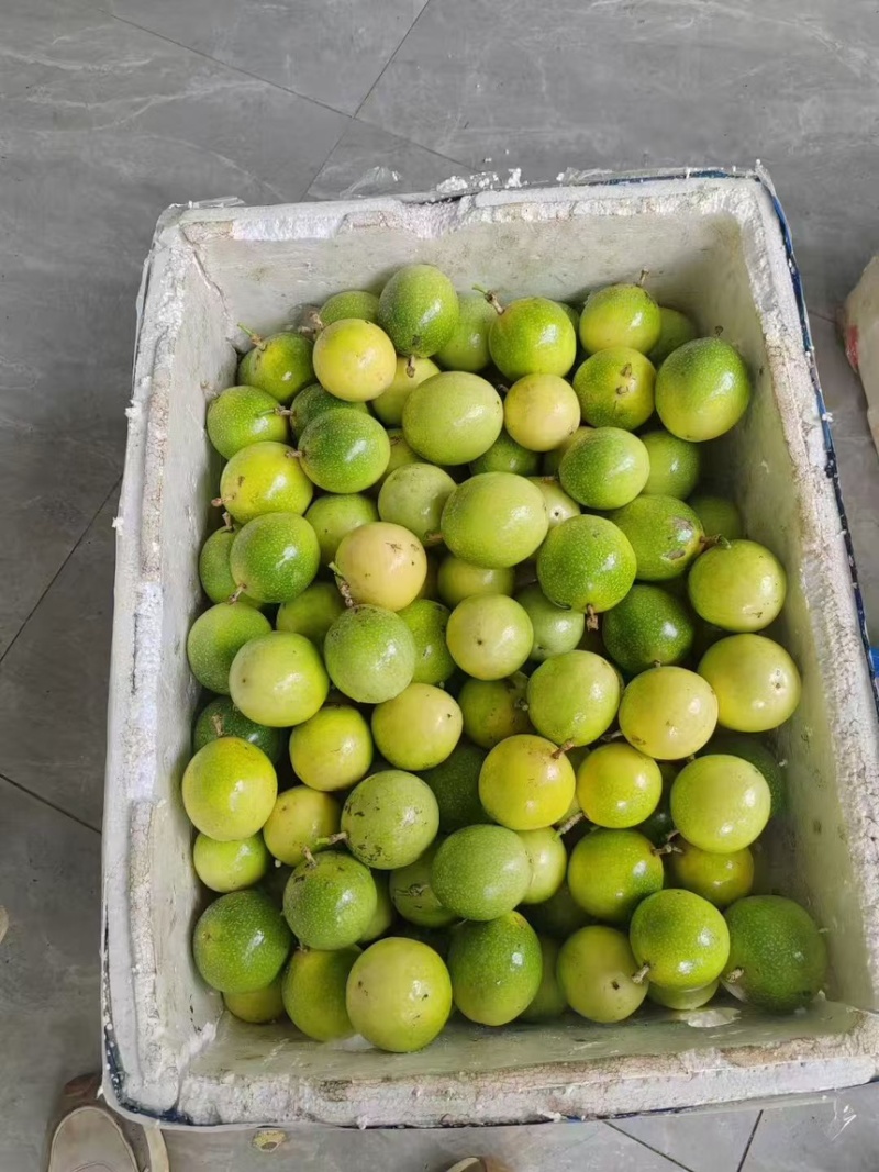 云南精品钦蜜9号百香果产地直发质量保证全国发货