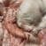 驴板油鬓子油槟子油现宰新鲜生驴油做驴肉火烧商用