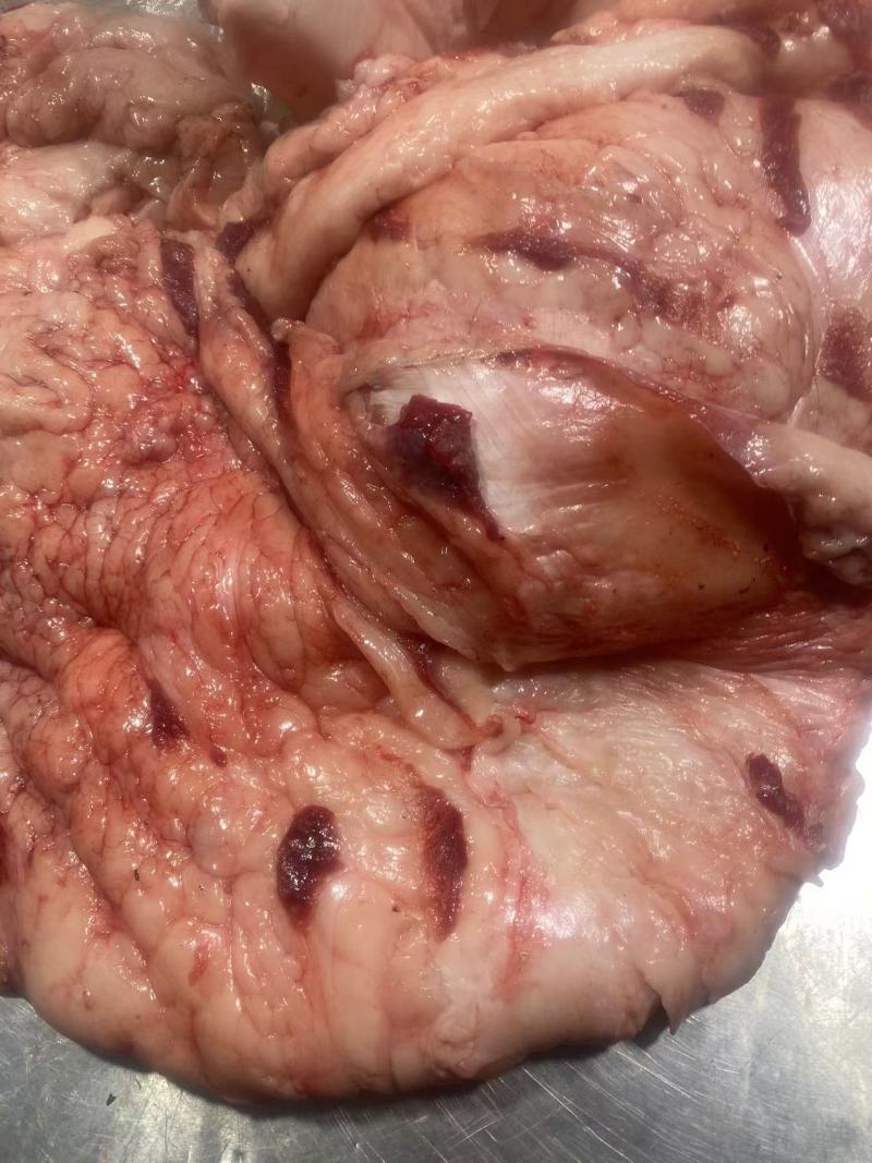 驴板油鬓子油槟子油现宰新鲜生驴油做驴肉火烧商用