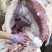 驴板油鬓子油槟子油现宰新鲜生驴油做驴肉火烧商用