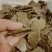 【实力推荐】山东菏泽菜籽饼现榨色好纯香产地直销量大从优