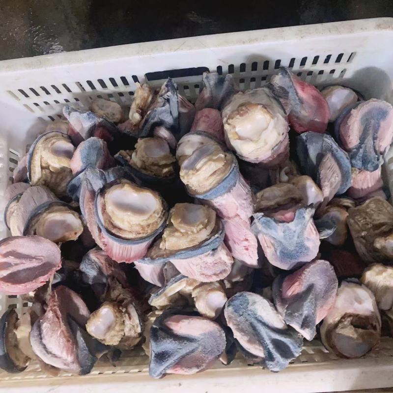 新鲜驴蹄子短蹄子小蹄子蹄冒厂家直发